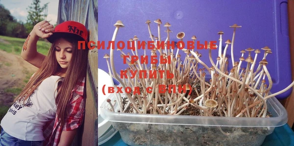 хмурый Кукмор