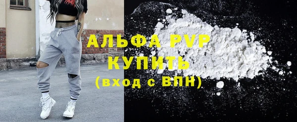 прущие грибы Великий Новгород