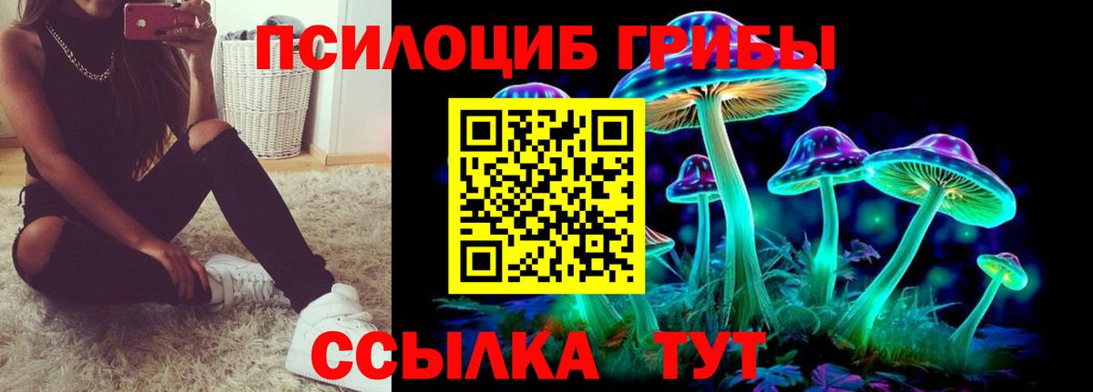 Галлюциногенные грибы Psilocybine cubensis Малоярославец