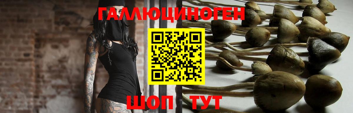 Малоярославец  Галлюциногенные грибы Magic Shrooms  Вход с VPN 