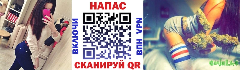 мега как войти  магазин продажи   Малоярославец  Конопля сатива 